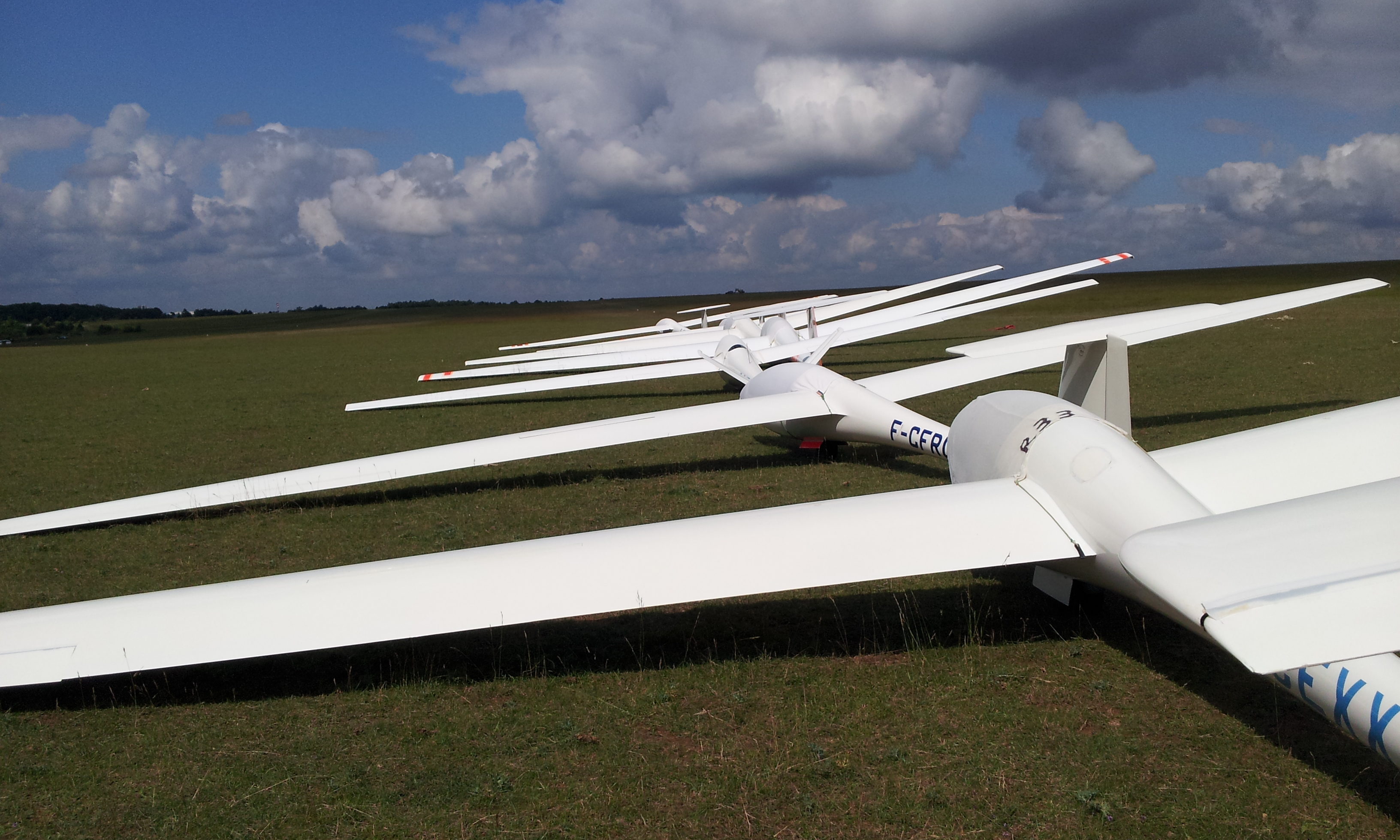 cropped-20130630_104412.jpg